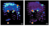 hexose ion images of a cross section of a stem from wheat