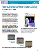 Sequence Identification And Spatial Distribution of Rat Brain Tryptic Peptides Using MALDI Mass Spectrometric Imaging