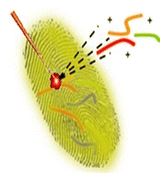Graphical abstract